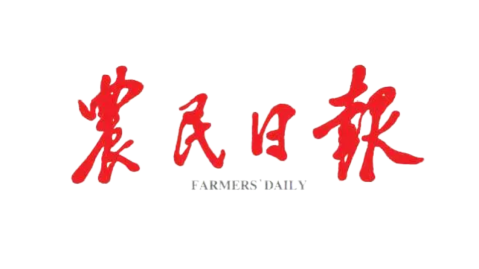 合作媒体