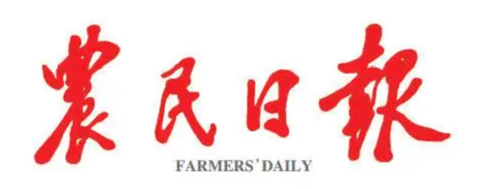 合作媒体
