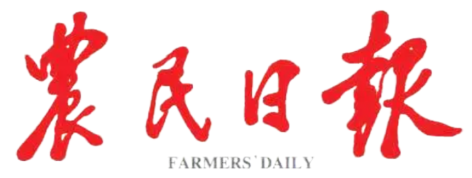 Media Partners