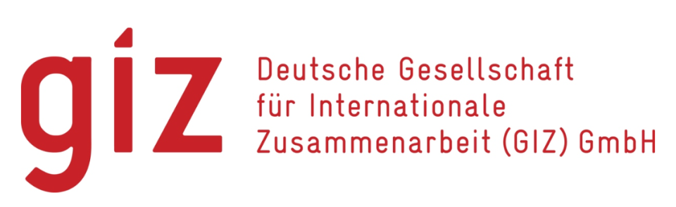 Supporting Organizations